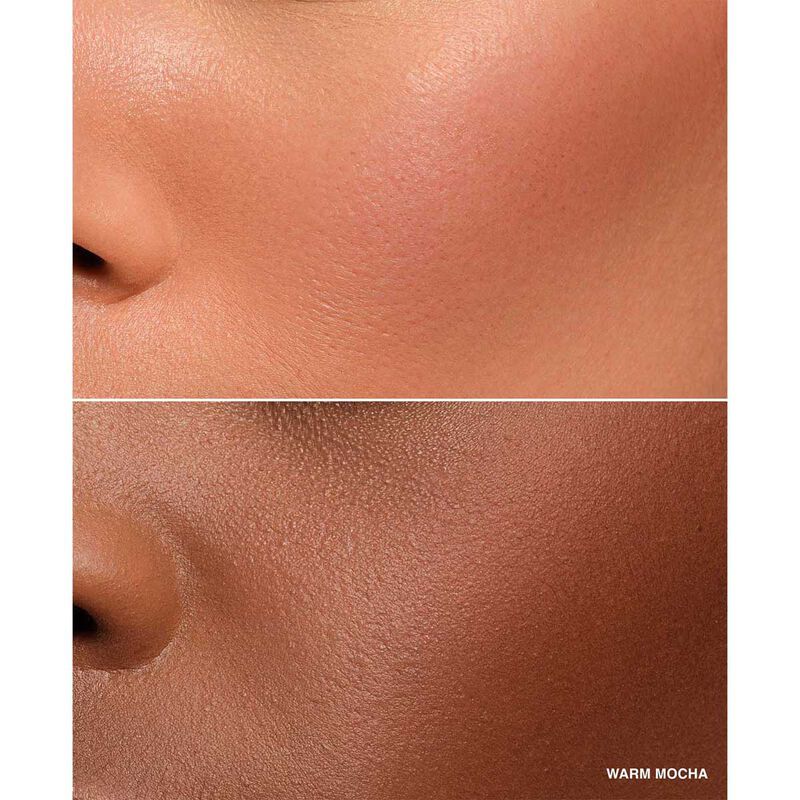 Bobbi Brown Pot Rogue Velvet Matte image number 22